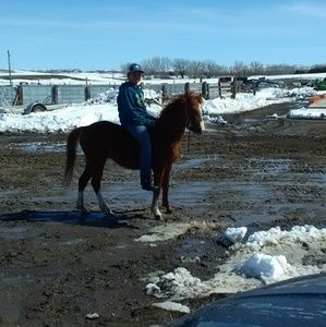 Meet your Posher, Lisa